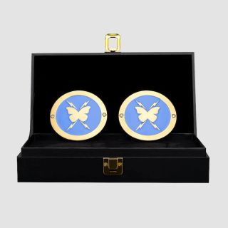 Nikki A.S.H.  WWE Women's Championship Replica Side Plate Box Set