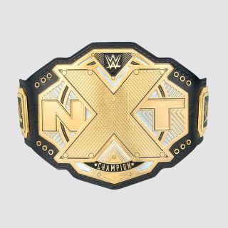 WWE NXT Championship Belt Replica Title Brass Metal Plates