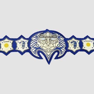 TNA Belts Jeff Hardy Immortal Championship Replica Title