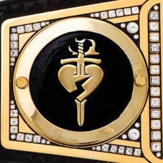 Shawn Michaels Side Plate Replica Box Set