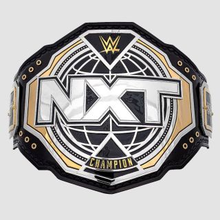 WWE NXT 2024 Championship Belt Replica Title