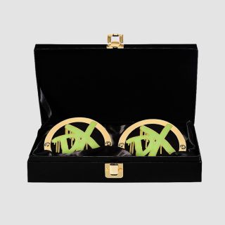 WWE D-Generation X Side Plates Championship Replica Box Set